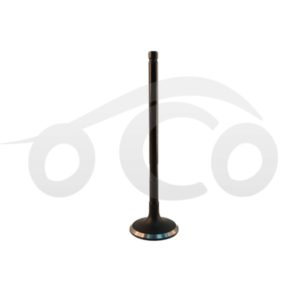 VALVULA ESCAPE ECOSPORT 2.0 / FOCUS 2.0 DURATEC / ESCAPE 2.0 / 2.3 / RANGER 2.3 / MAZDA B-2300 / MAZDA 6 2.3 / MAZDA 3 2.0